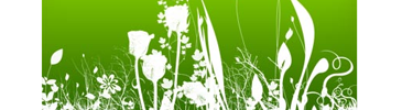 Fresh Foliage Fresh Foliage